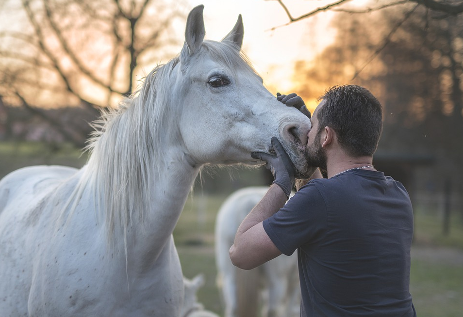 Tips to Keep Your Horse Healthy